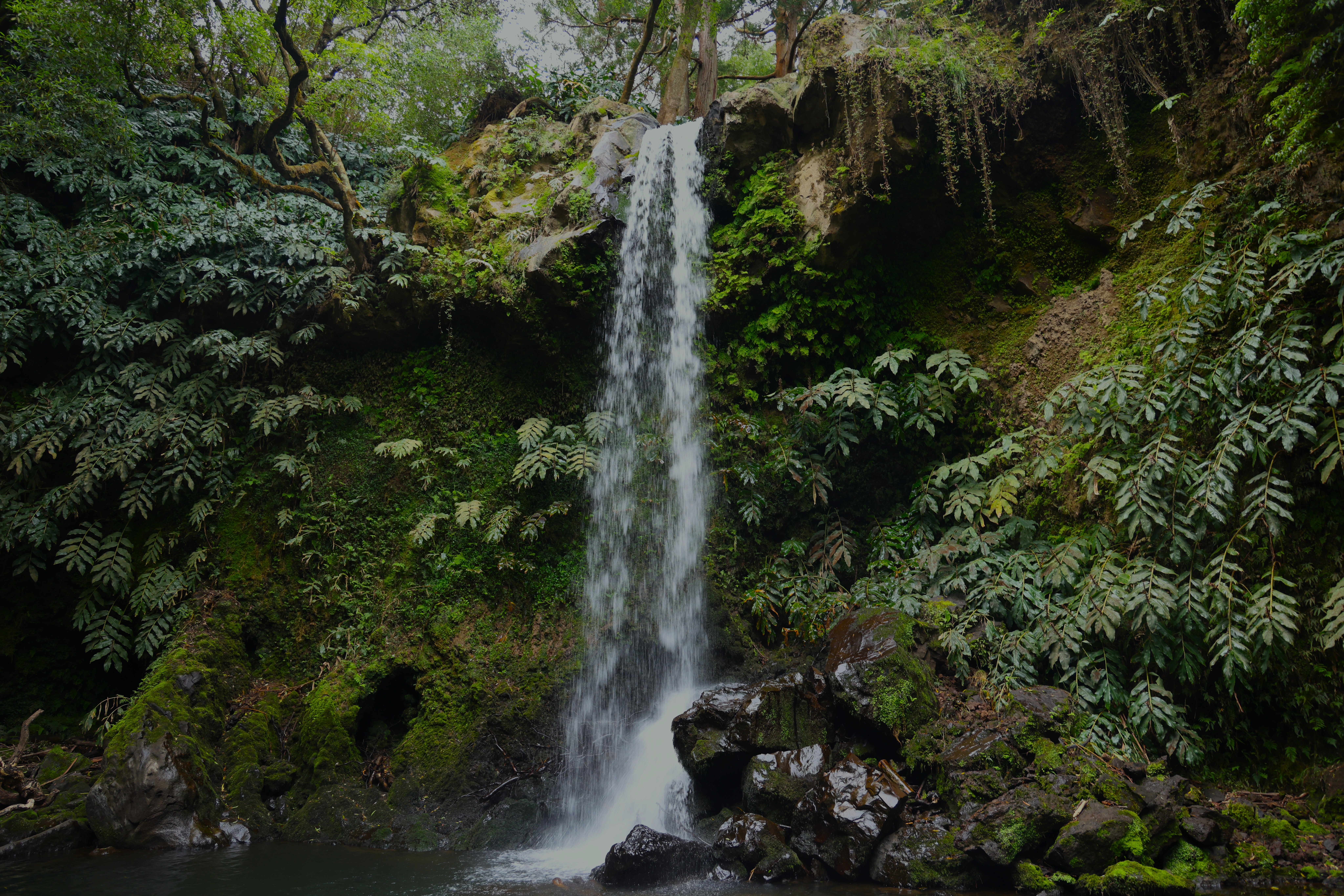 Azores
