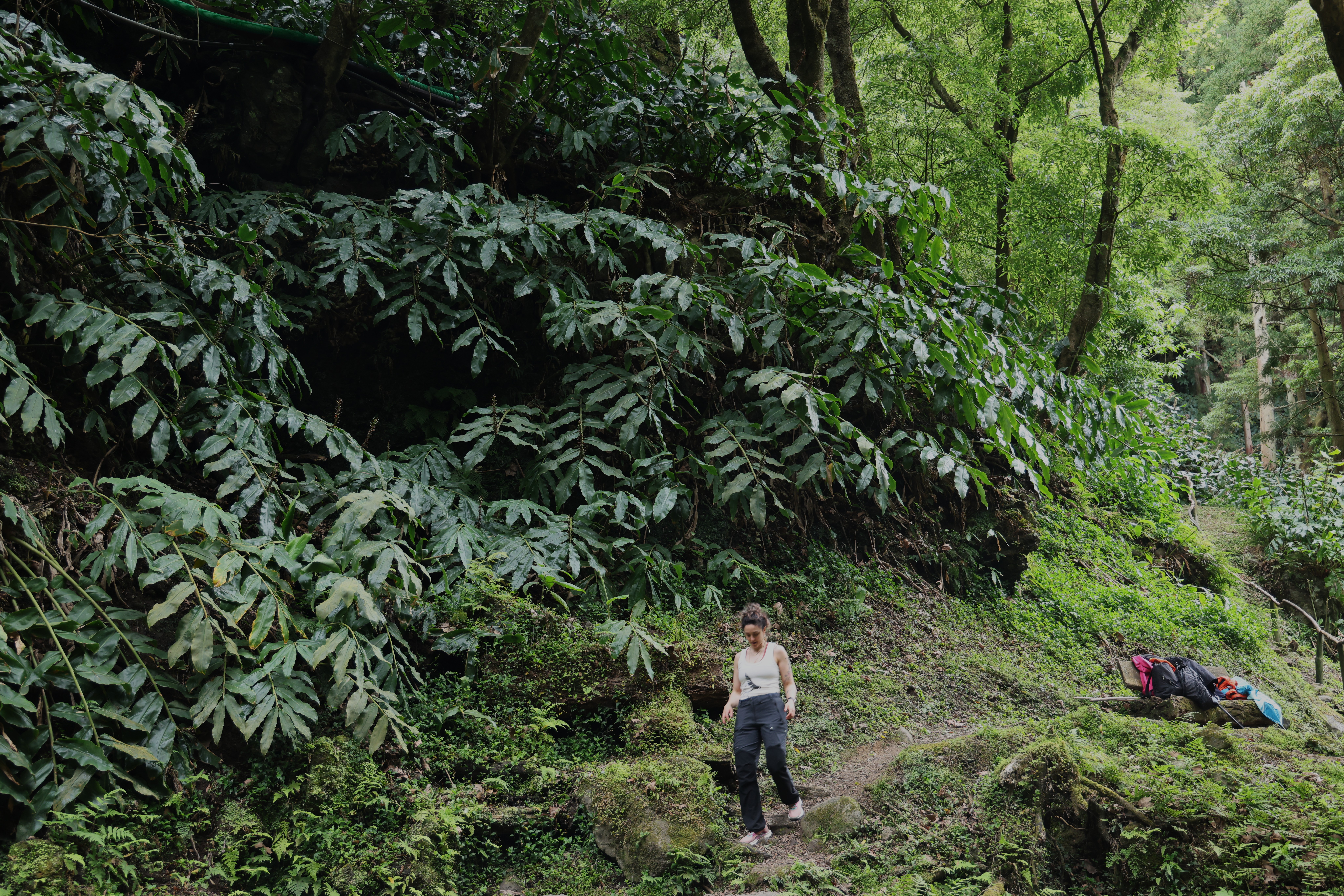 Parque natural Azores