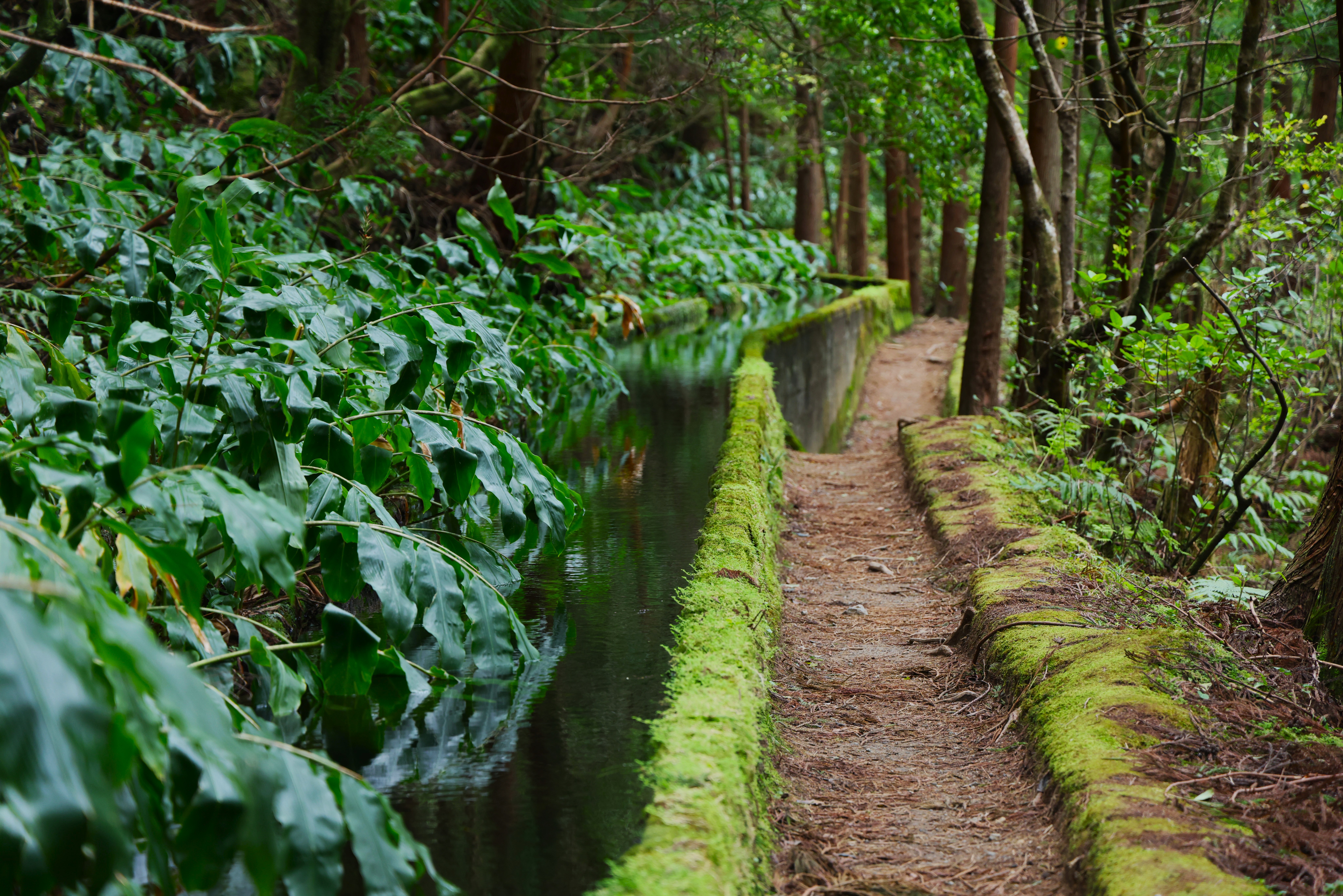 Azores