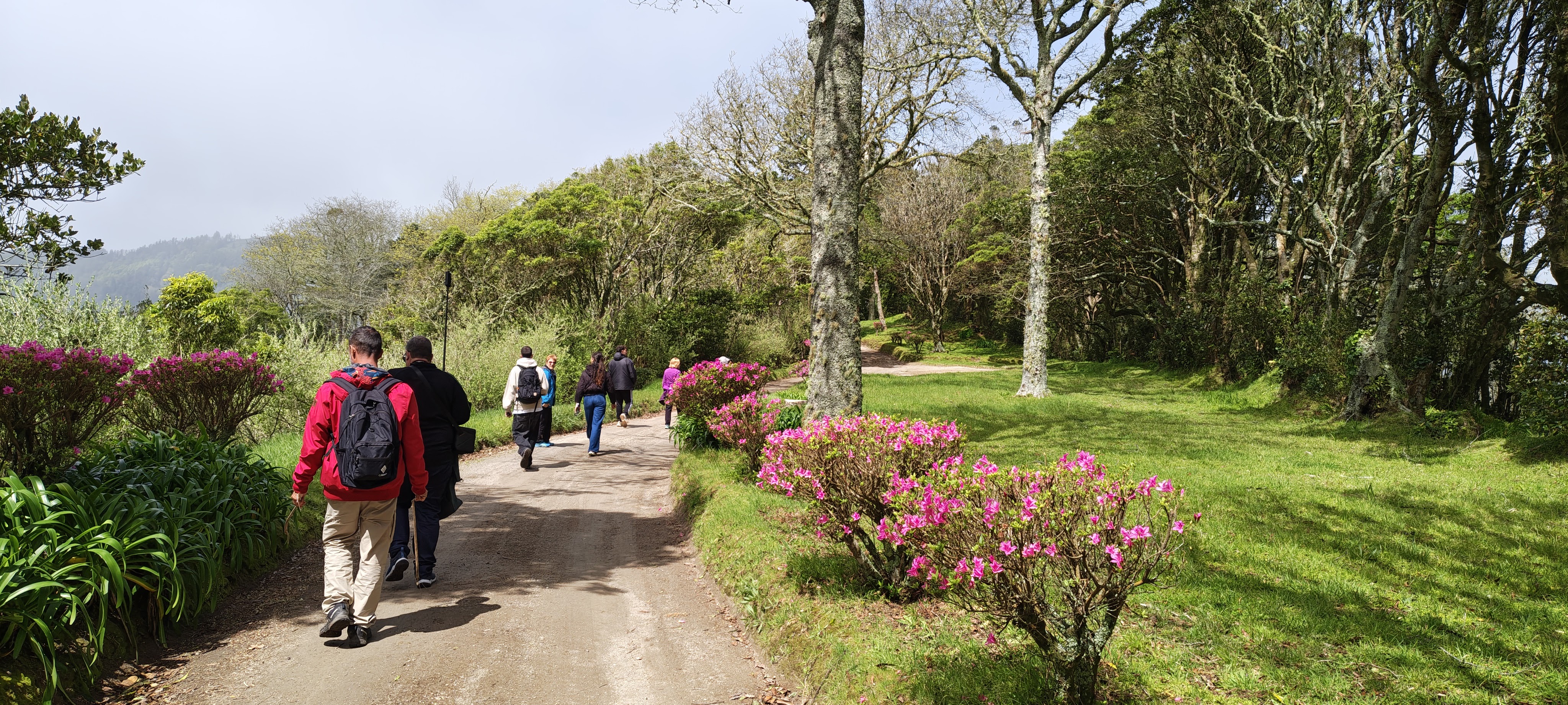 Azores — volcán