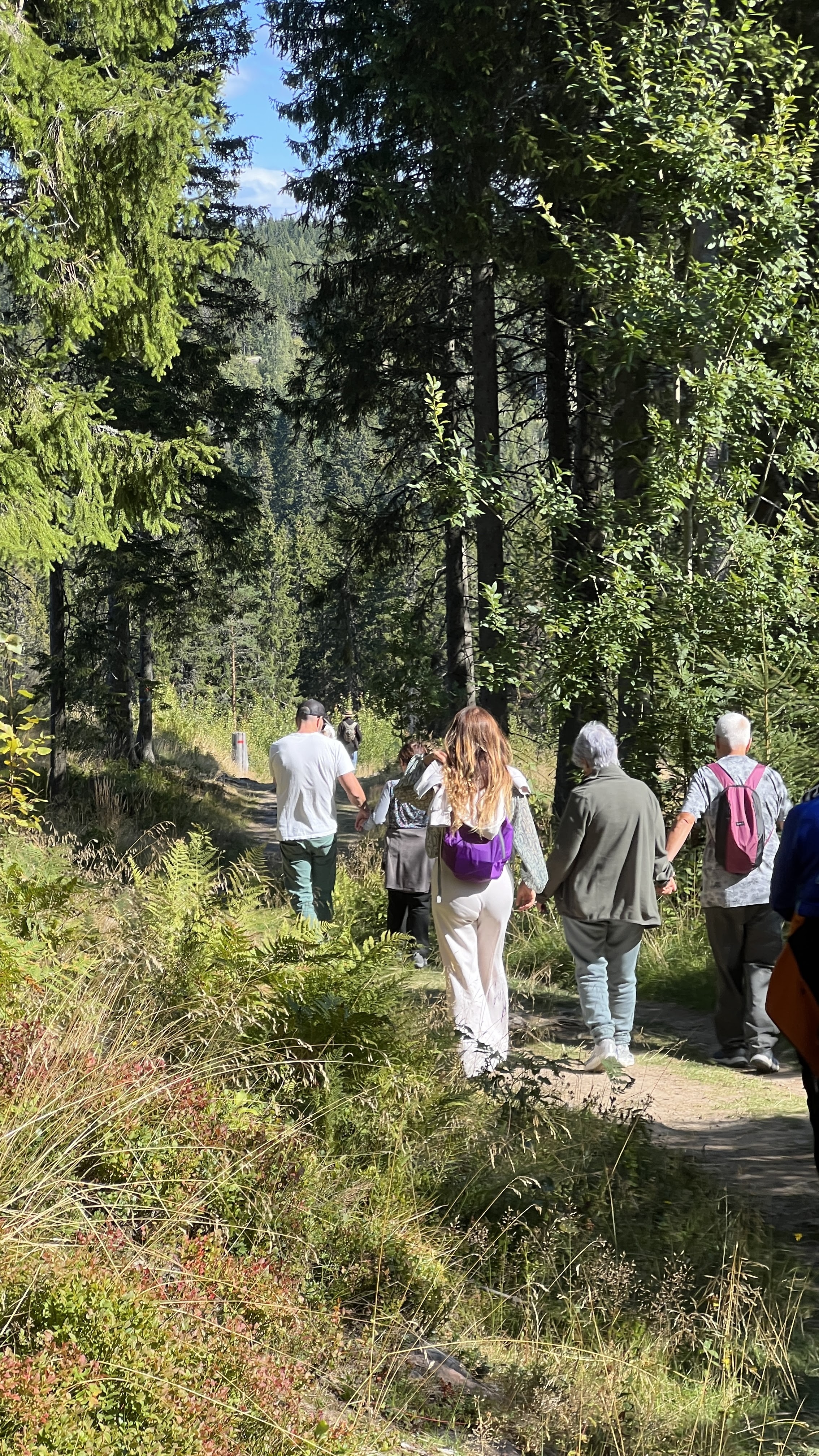 De vuelta a Sandefjord